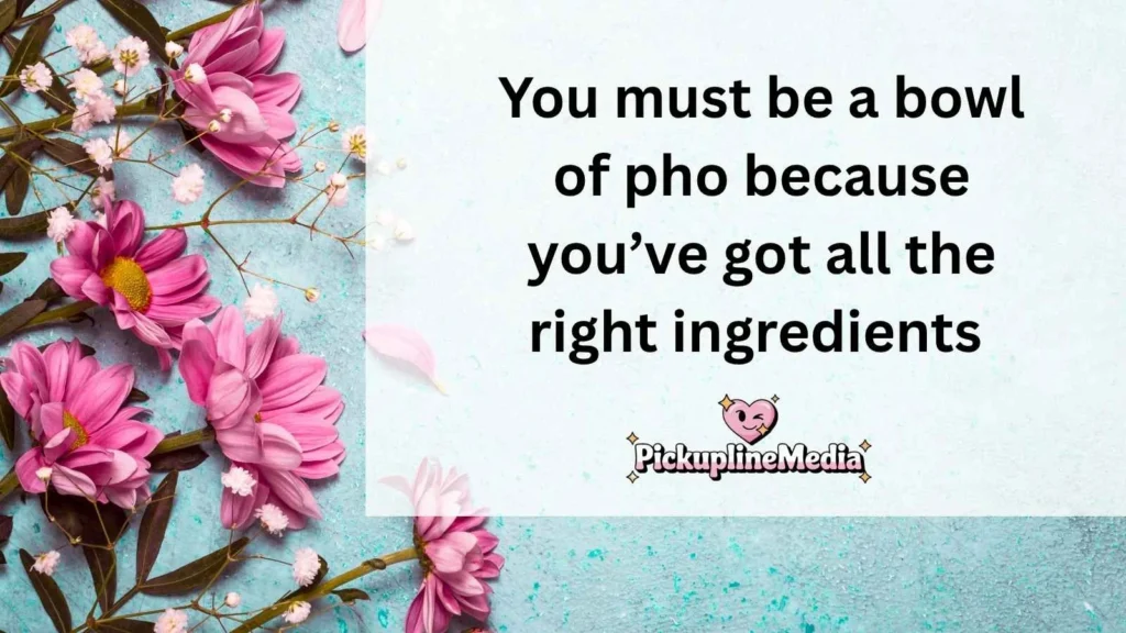  Funny Pho Pickup Lines